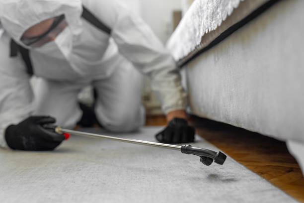 Professional Termite Control technician working in Security-Widefield, CO